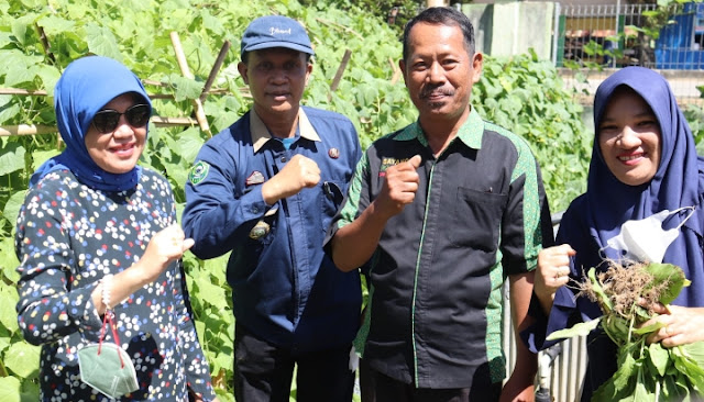 Ketua TP.PKK Barru Hasnah Syam, Panen Perdana Labu Madu Di Tanete Rilau