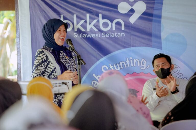 Kabardaerah Barru Anggota DPR RI Hasnah Syam Bersama Mitra Kerja BKKBN Gencar Sosialisasi Stunting