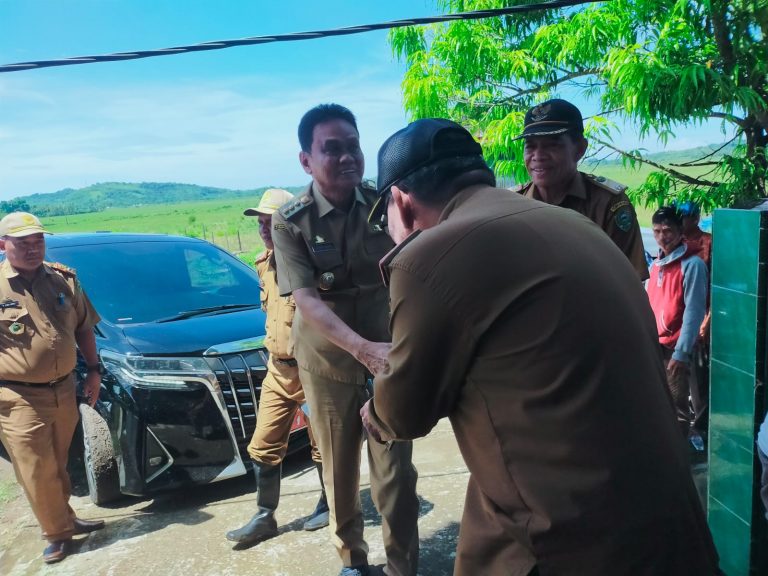 Bupati Barru Hadiri Prosesi Mappalili di Desa Nepo