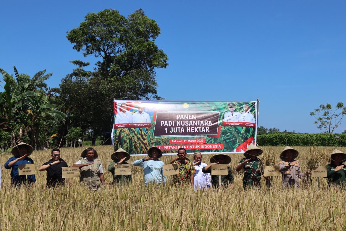 Panen Perdana Padi Nusantara 1 Juta Hektar, Pj Bupati Takalar Harap Kualitas Benih Dan Pola Tanam Diperhatikan