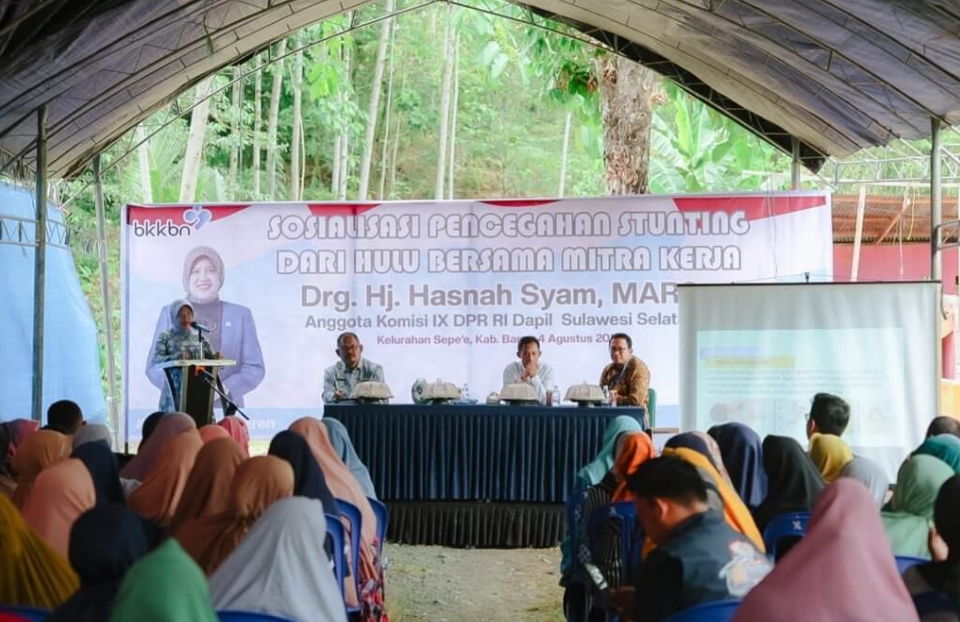 Ketua TP.PKK Hasnah Syam Gelar Sosialisasi Pencegahan Stunting di Sepe’e