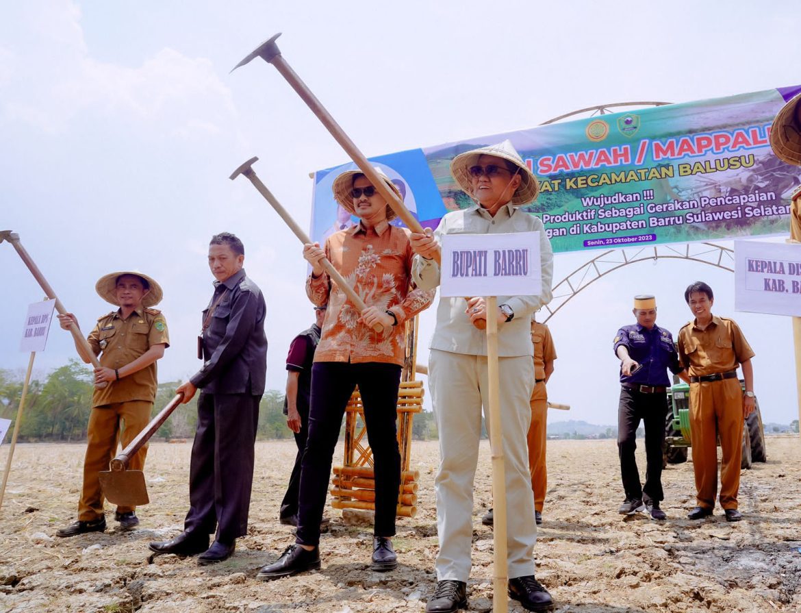 Bupati Barru Suardi Saleh Hadir Acara Adat “Mappalili”di Desa Binuang