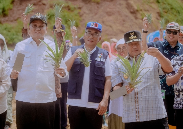 Pj Gubernur Bersama Suardi Saleh dan Forkopimda, Melakukan Penanaman Nenas dan Melakukan Panen