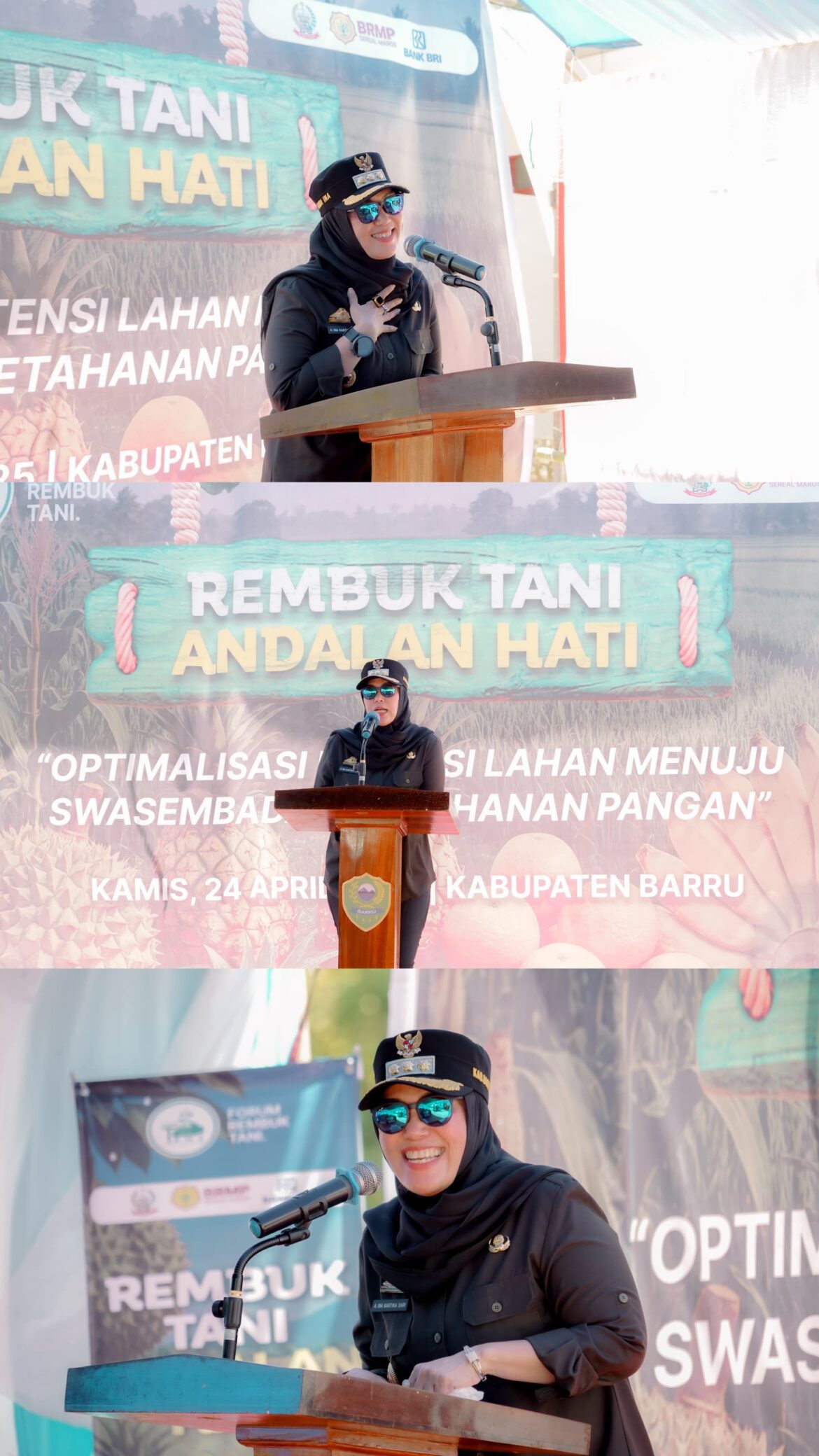 Panen Nenas dan Rembuk Tani: Bupati Barru Ajak Petani Optimalkan Potensi Lahan