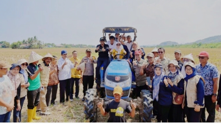 Bupati Barru Tinjau Lahan Budidaya Padi Varietas Soeharto di Desa Lipukasi, Dorong Ketahanan Pangan Daerah