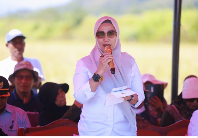 Bupati Barru Sambut Tim YSPN, Tinjau Program Budidaya Padi Soeharto (HMS) di Lipukasi