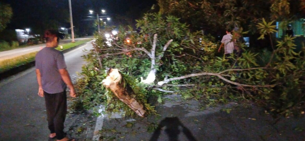 Polsek Tanete Rilau Gerak Cepat Evakuasi Pohon Tumbang di Jalur Poros Pare–Makassar