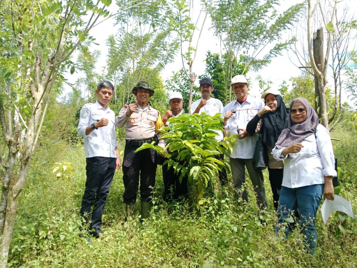 ​Percepat Hilirisasi Komoditas Perkebunan, Kadistan dan Kapolsek Pujananting Hadiri Gerakan Tanam Serentak